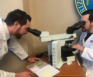 HonorHealth Academic Affairs Dermatology Residency