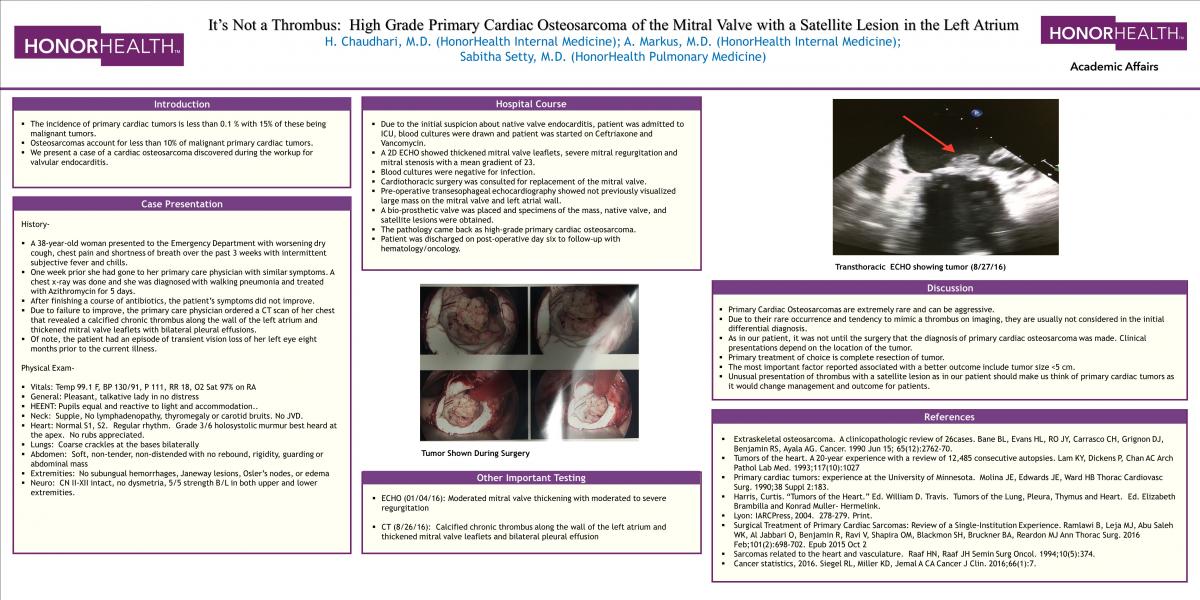 Internal Medicine Scholarly Activity Program presentation - example 2