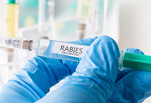 HonorHealth - Rabies in Arizona