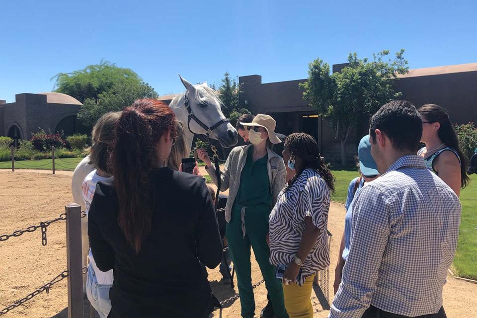 Internal Medicine residents at equine retreat