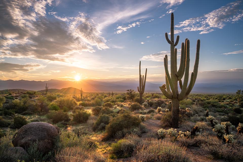 HonorHealth - Blue Zones Project Scottsdale