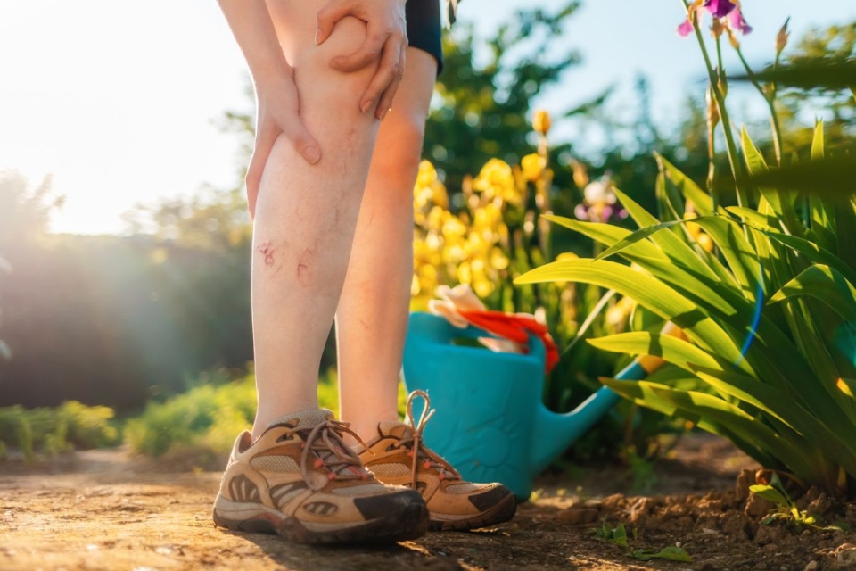 HonorHealth Heart Care - Vascular - Person in a garden holding their lower leg — visibly showing bulging varicose veins and minor skin irritation.