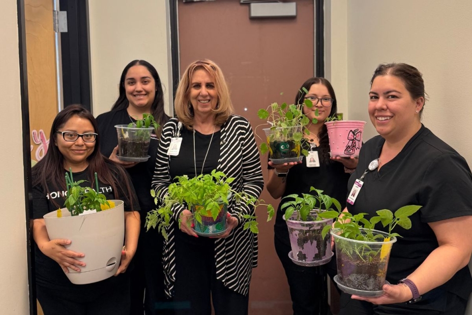 HonorHealth Community and Culture - Smiling members of the Blue Zones Project Scottsdale volunteer to help HonorHealth achieve a Blue Zones Worksite Certification.