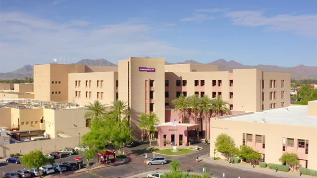 Cardiovascular Center of Excellence