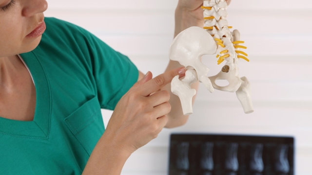 Meet the Rheumatology doctors at HonorHealth