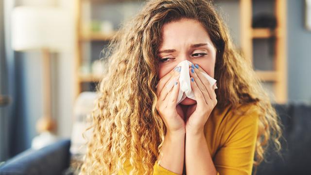 HonorHealth allergy triggers