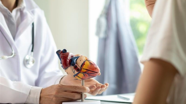 HonorHealth Heart Care - Physician shows patient diagram of heart.